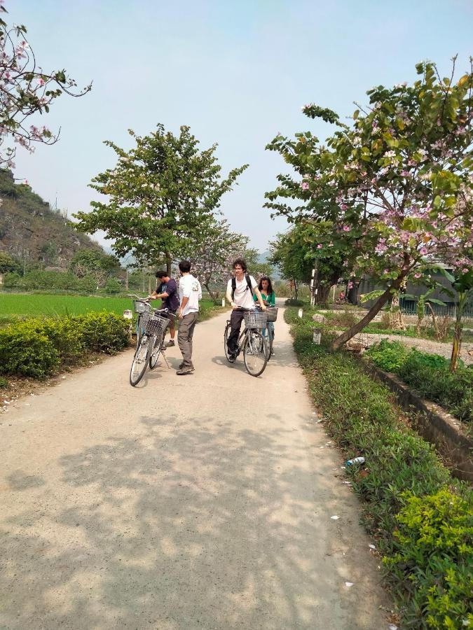Tam Coc Golden Sun Homestay ニンビン エクステリア 写真