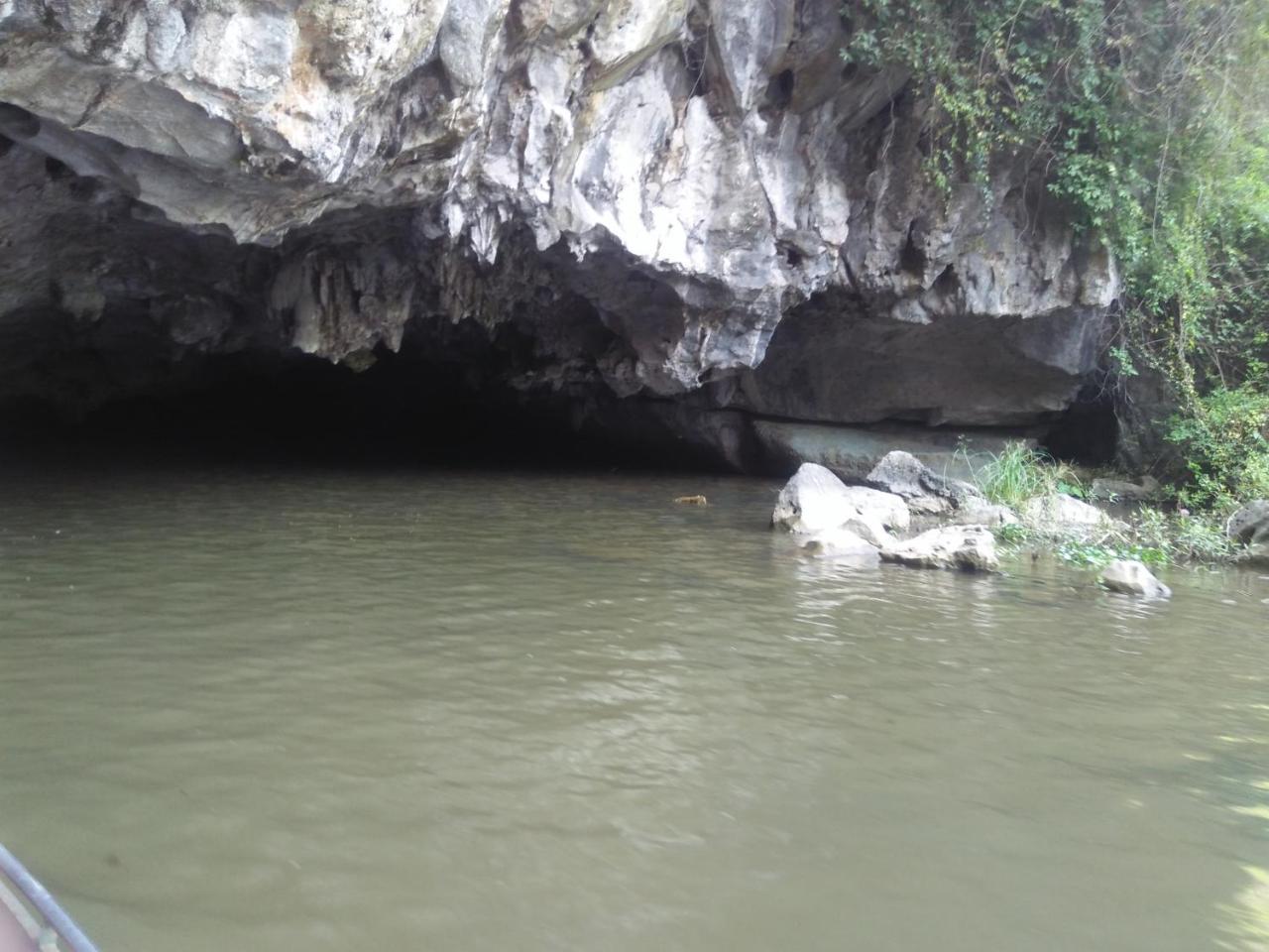 Tam Coc Golden Sun Homestay ニンビン エクステリア 写真